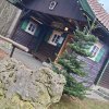 12 a Ak12 b Aktion Dezember 25 Waldweihnacht